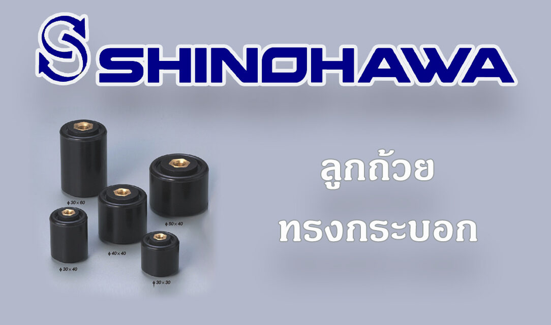 SHINOHAWA : ลูกถ้วยทรงกระบอก