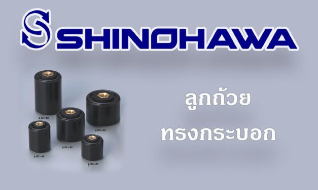 SHINOHAWA : ลูกถ้วยทรงกระบอก