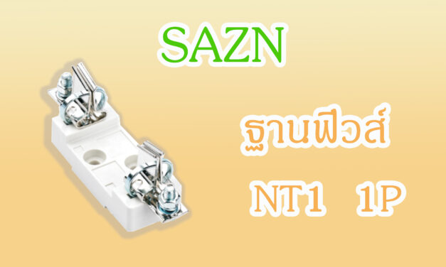 SHINOHAWA : ฐานฟิวส์-NT-1-1P