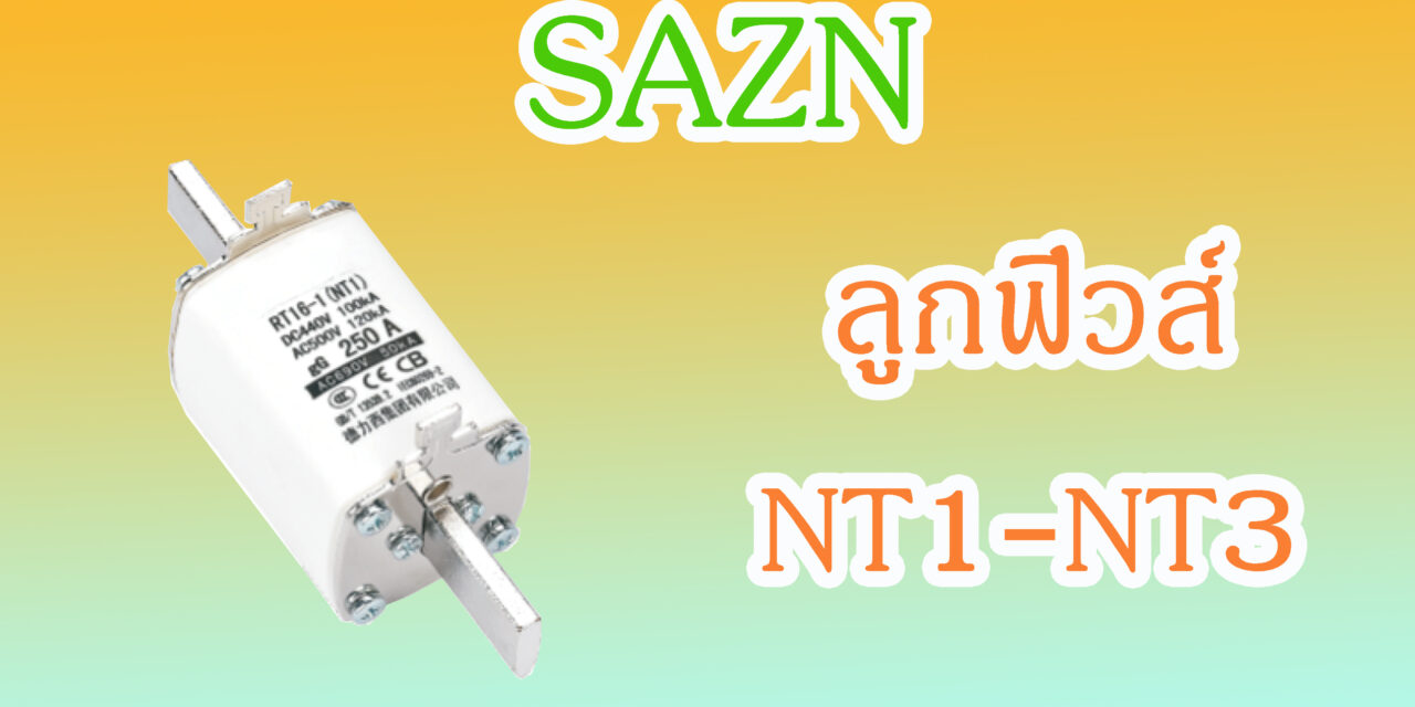 SHINOHAWA : ลูกฟิวส์-NT1-NT3