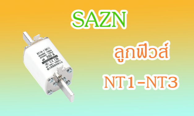 SHINOHAWA : ลูกฟิวส์-NT1-NT3