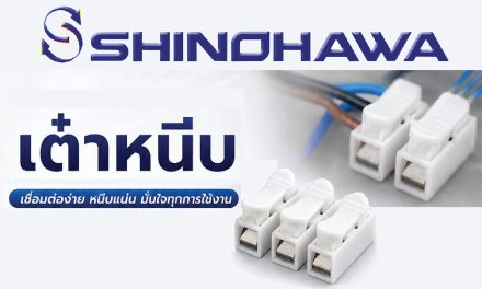 SHINOHAWA : เต๋าหนีบ